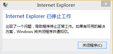 internet explorer